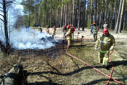 Проведены межведомственные учения по отработке тактики и техники тушения лесных пожаров