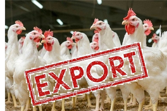Чувашия наращивает объемы экспорта мяса