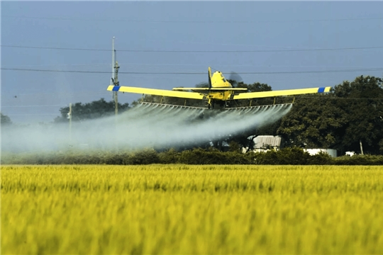 Пестициды возьмут под контроль