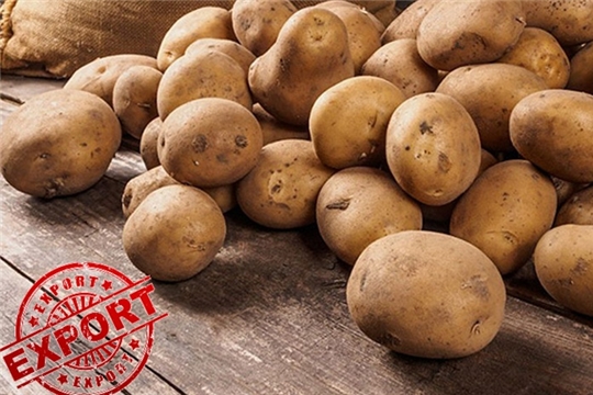 Картофелеводы Чувашии готовятся к выставке