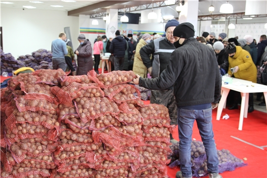 В первый день выставки «Картофель-2021» реализовано 26 тонн семенного картофеля