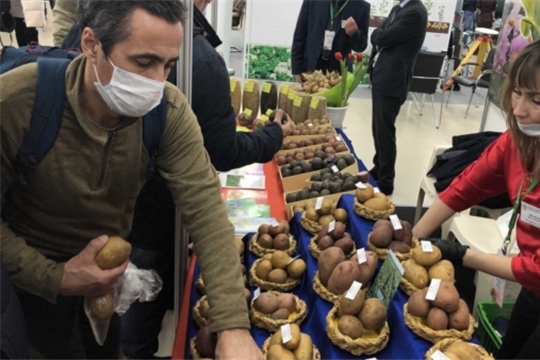 В Чебоксарах прошла межрегиональная отраслевая выставка «Картофель-2021»
