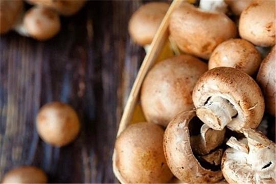 Производство культивируемых грибов выросло на 80,2% в 2020 году