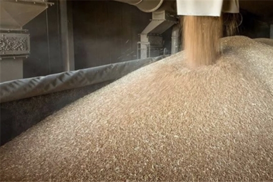 Продфонд Чувашии следит за качеством зерна в хранилищах по-новым
