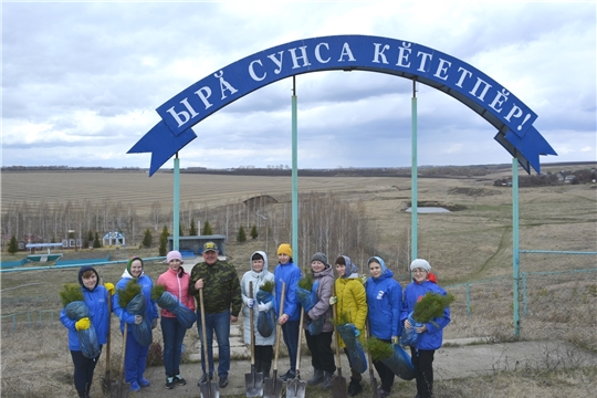 В Яльчикском районе высадили "Сад памяти"