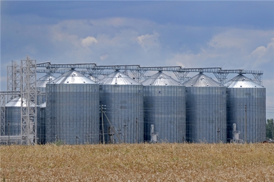 Минсельхоз РФ планирует возобновить с 2022 года закупки зерна в интервенционный фонд
