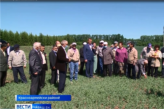 Тырӑ пуссисене хакланипе пӗрлех район аталанӑвӗпе кӑсӑкланчӗҫ