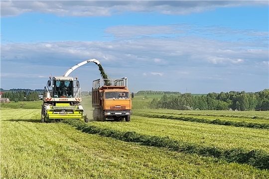 Хозяйствами Чебоксарского района скошено 570 га многолетних трав, заложено 1 724 тонны сенажа