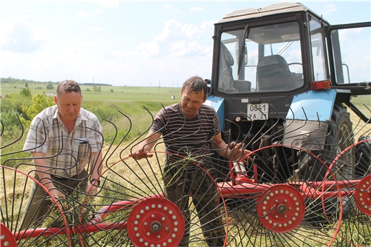 Заготовка сена в Канашском районе