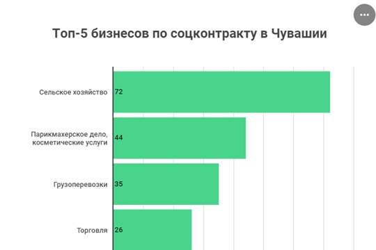 Топ – 5 сфер бизнеса на основании соцконтракта: В каких нишах жители Чувашии открывают собственное дело