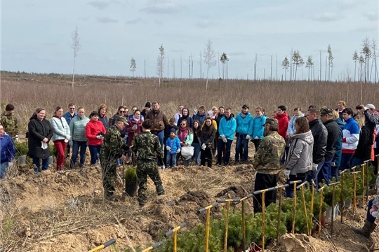 Коллектив Госслужбы Чувашии по делам юстиции принял участие в акции «Сад памяти»