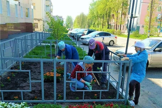 Организации г. Чебоксары вносят свой вклад в концепцию цветочного оформления столицы