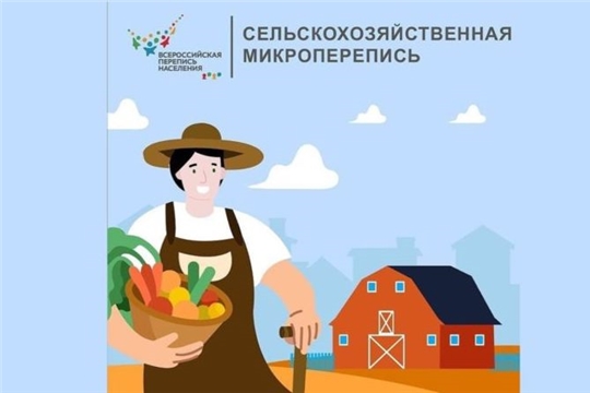 В августе стартует Всероссийская сельскохозяйственная микроперепись