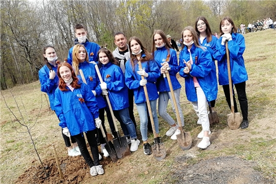 Волонтеры Новочебоксарска приняли участие в посадке деревьев