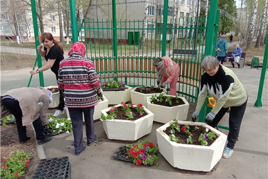 Посадка цветов у памятника на Аллее Ветеранов в ТОС «Ельниковский»