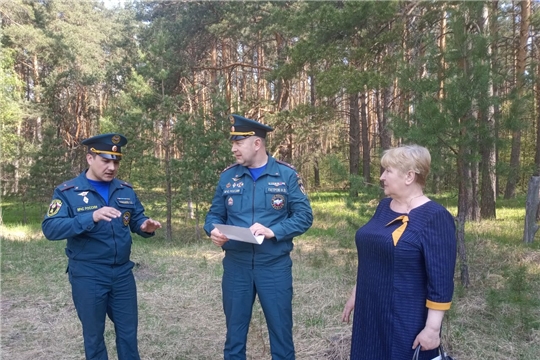 Проведено обследование готовности Сиявского сельского поселения к началу пожароопасного сезона