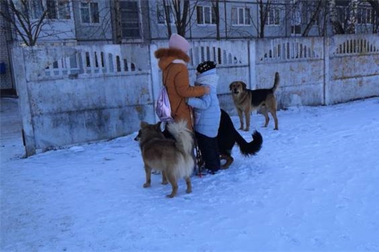 Йытă тăтăр сăнчăрта, ан хăраттăр халăха