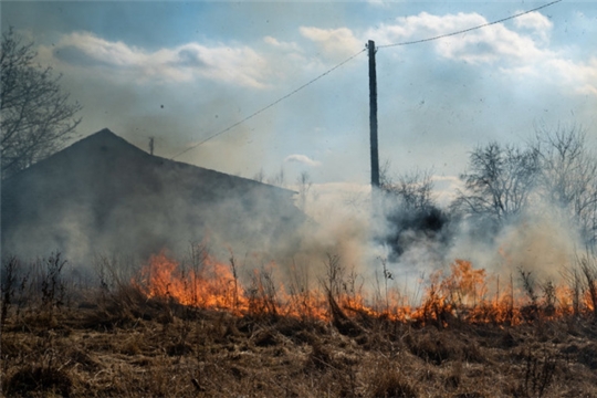 В рамках профилактической операции «Лето» осуществлен осмотр населенных пунктов и объектов, подверженных угрозе лесных пожаров