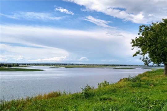 Урок экологической грамотности «Живая Волга»
