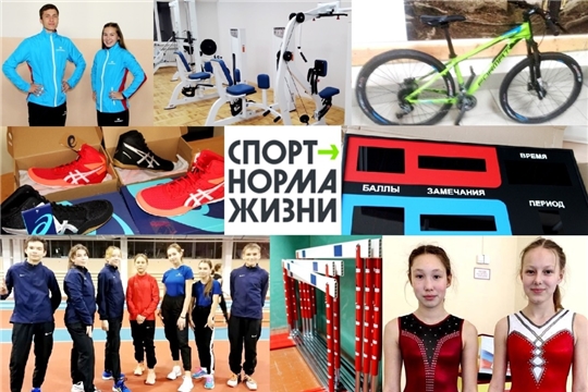 В рамках проекта «Спорт – норма жизни» спортивные школы олимпийского резерва Чувашии получили государственную поддержку