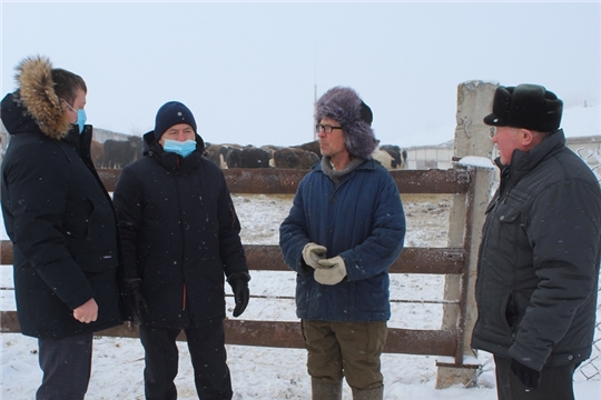 Зимовка скота в КФХ «Тимофеев Н.В.» проходит в штатном режиме
