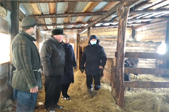 Зимовка скота в хозяйствах Шоркистринского сельского поселения проходит в штатном режиме