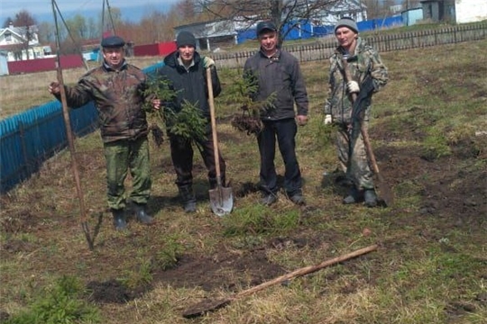 В селе Ковали на аллее Воинской славы посадили 33 ели