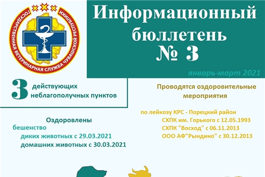 Информационный бюллетень № 3