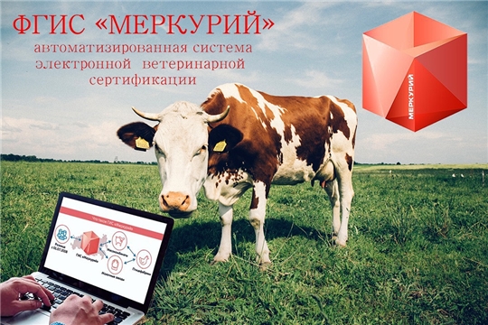 О работе в области электронной ветеринарной сертификации на территории Чувашской Республики  за три месяца 2021 года.