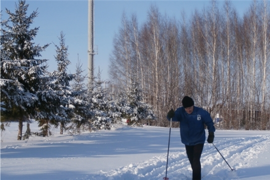 Прогулка в зимнем парке на лыжах