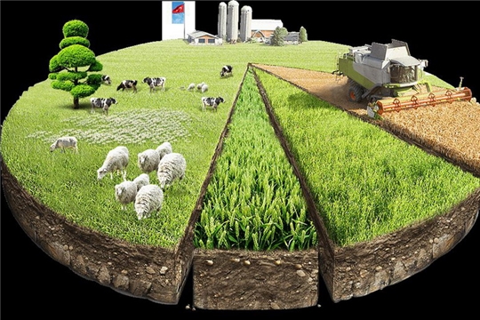 Использование земельных участков для сельскохозяйственной продукции в Чувашии