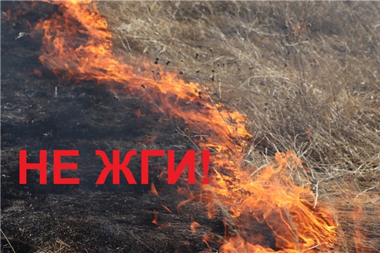 С приходом ранней весенней теплой погоды на территории Чувашской Республики участились случаи возгорания сухой травы