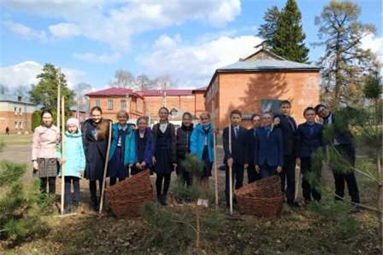 Гимназия №1  г. Ядрин приняла участие во Всероссийском субботнике