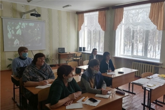 Сопровождение замещающих семей в школе: основные акценты