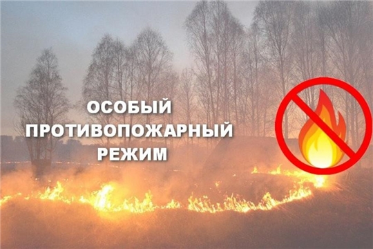 С 25 апреля в Чувашии установлен особый противопожарный режим