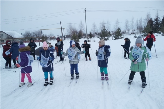 Лыжные гонки в Богатыревском поселении