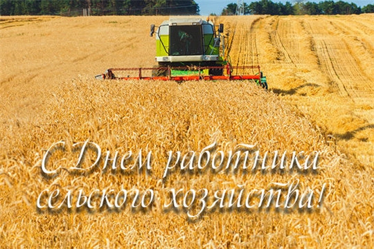 Поздравление главы администрации Алатырского района Н.И. Шпилевой с Днем работника сельского хозяйства и перерабатывающей промышленности