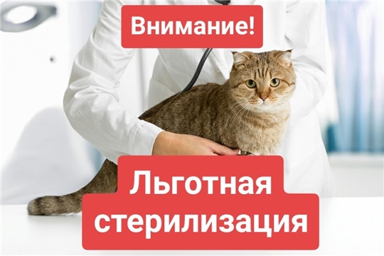 Льготная стерилизация домашних животных