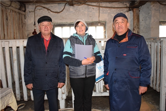 Проверка готовности животноводческих ферм Батыревского района к зимне - стойловому периоду