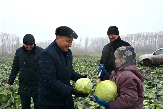 Глава администрации района ознакомился с завершением уборки капусты в КФХ В. Кузнецова