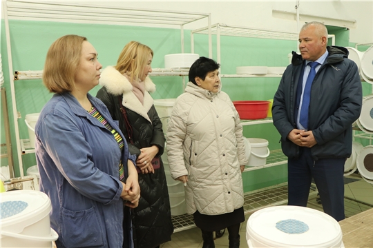 Глава администрации Чебоксарского района Николай Хорасев посетил АО «Агрофирма «Ольдеевская»