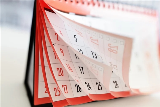 Календарь предпринимателя: налоги, платежи и отчетность в сентябре 2022 года