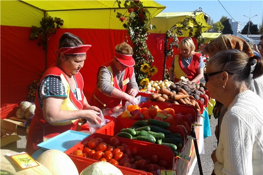 10 сентября стартует месячник по продаже сельскохозяйственной продукции «Дары осени – 2022»