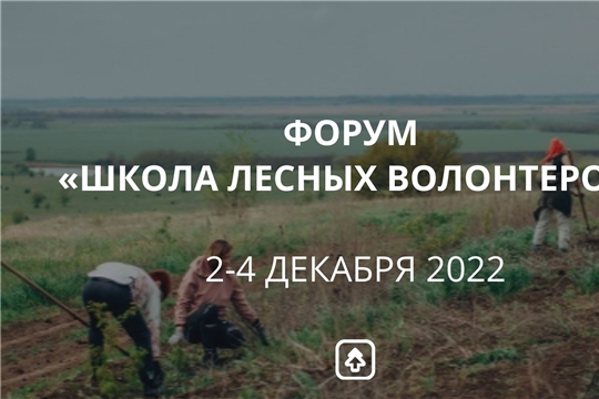 Участников форума «Школа лесных волонтеров» ждут лекции, нетворкинг и выступления экспертов