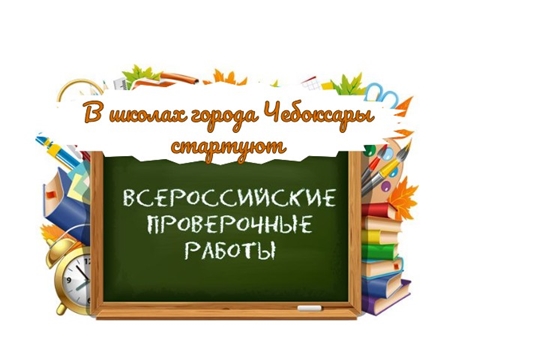 В школах столицы стартует осенний «сезон» Всероссийских проверочных работ