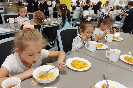 Проверки организации питания в школьных столовых (28.10.2022 г.)