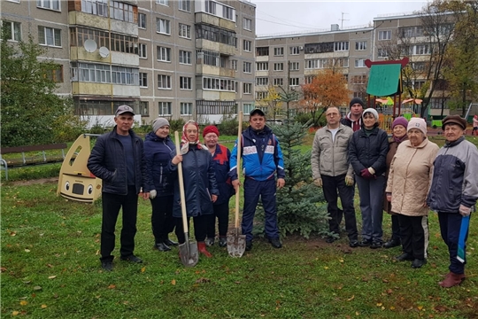 В обновленных дворах г. Чебоксары провели акцию по посадке кустарников и деревьев