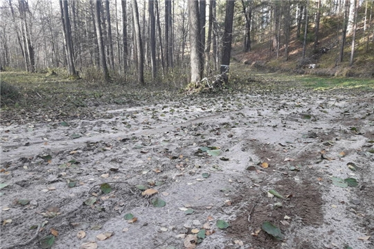 Подготовка лыжной трассы на Палане