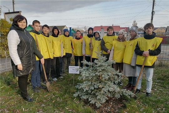 Юные эковолонтеры Шумерли присоединились к Республиканской акции «Дерево Памяти»