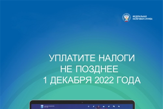 Уплатить имущественные налоги необходимо не позднее 1 декабря 2022 года